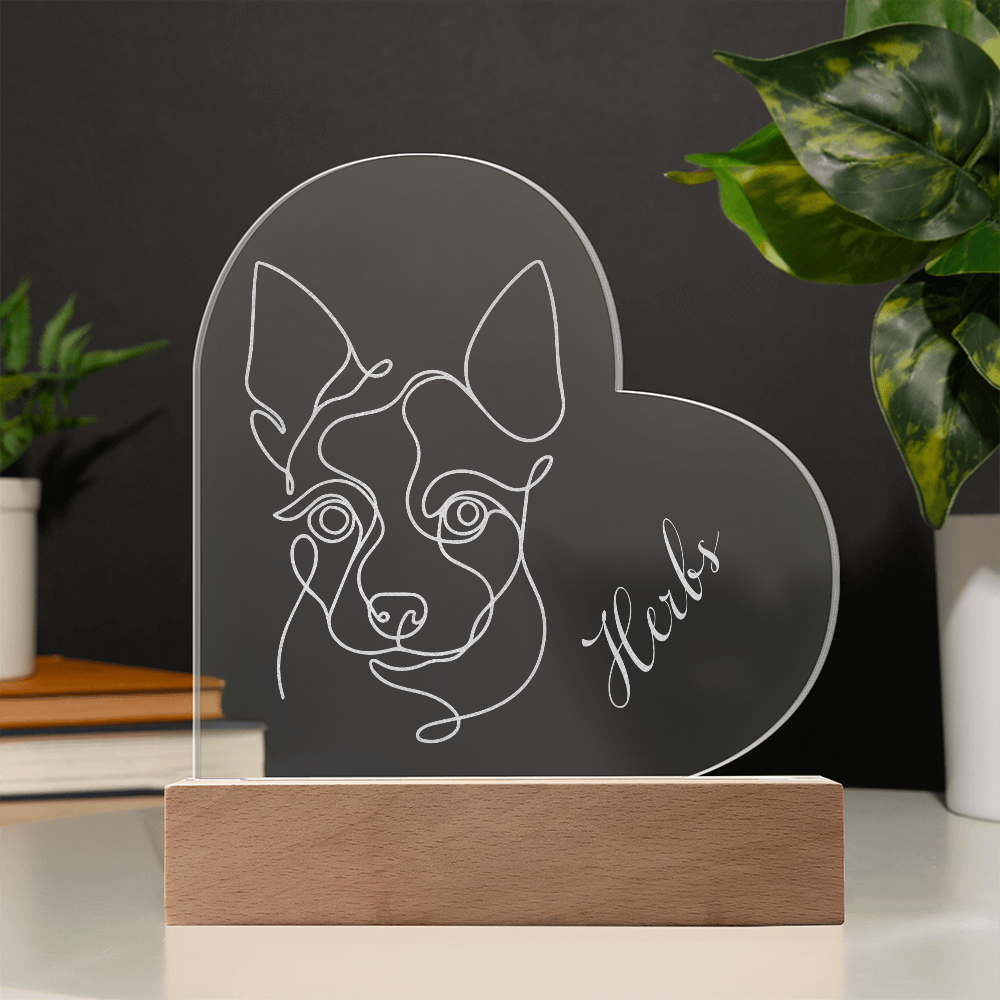 The Ashwood LumiPet©