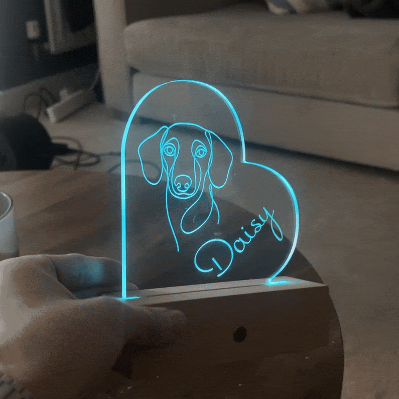 The Ashwood LumiPet©