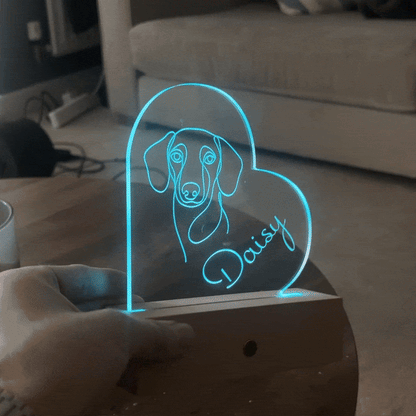 The Ashwood LumiPet©