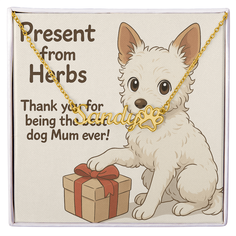 Ashwood Studios - Custom Pet Name Neckless With Personalised Message Card!